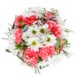 This bouquet, illuminated on a pure white canvas, captures the essence of a joyful Barnet morning-bright, inviting, and full of promise. Central white daisies fan out their immaculate petals, their green centers alive with clarity and freshness, surrounded by the plush, ruffled textures of coral-pink carnations that bring a surge of warmth reminiscent of local springtime festivals. Clouds of dainty gypsophila float among the blooms, lending an airy grace and gentle softness that echoes the peaceful ambiance of Barnet's open spaces. Subtly woven throughout, slender alstroemeria buds reveal hints of blush and violet, suggesting the beauty of upcoming days. The supporting cast of lush, silvery eucalyptus and elegant, deep green sprigs frames the arrangement, their understated hues evoking a morning walk through Greenhill or along The Spires. Each stem and petal is meticulously arranged, creating a balanced, circular masterpiece that conveys joy, gratitude, and celebration-perfect for marking birthdays, anniversaries, or offering a thoughtful gesture to someone special in Barnet. This expertly hand-tied bouquet radiates a quiet exuberance, reflecting the care and artistry synonymous with Barnet's finest florists, and is available for prompt, local delivery to brighten homes and hearts alike.